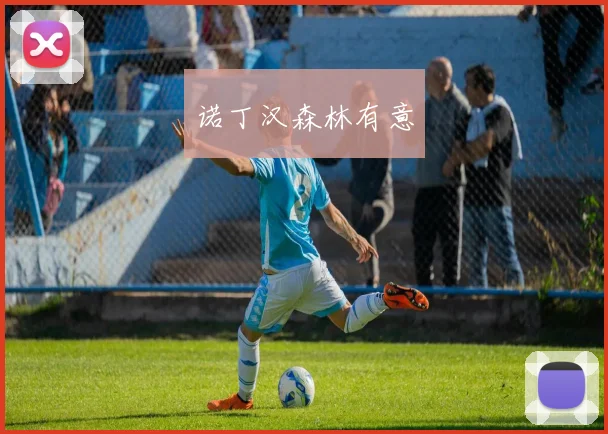 诺丁汉森林有意