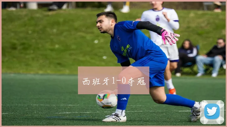 西班牙1-0夺冠